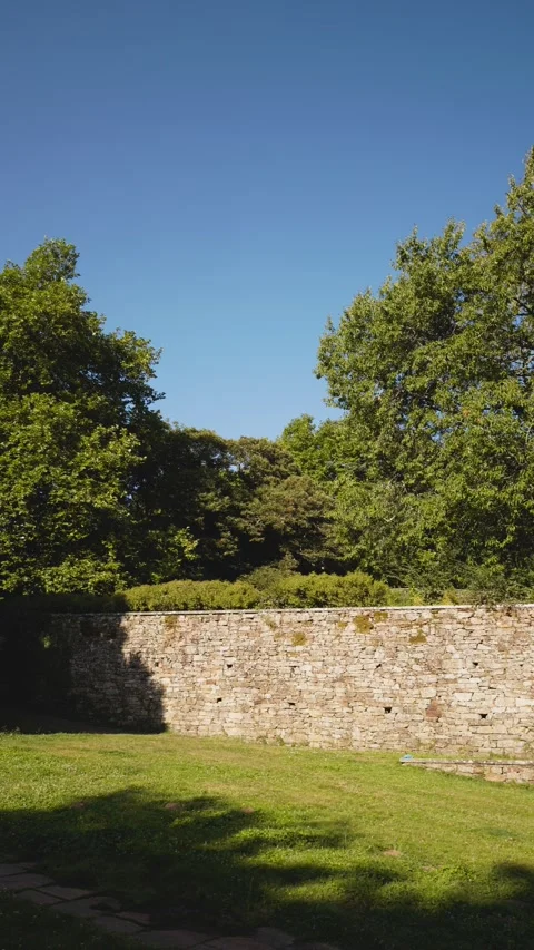 Vertical video background of a public park with a beautiful Chestnut tree Видео 287124345
