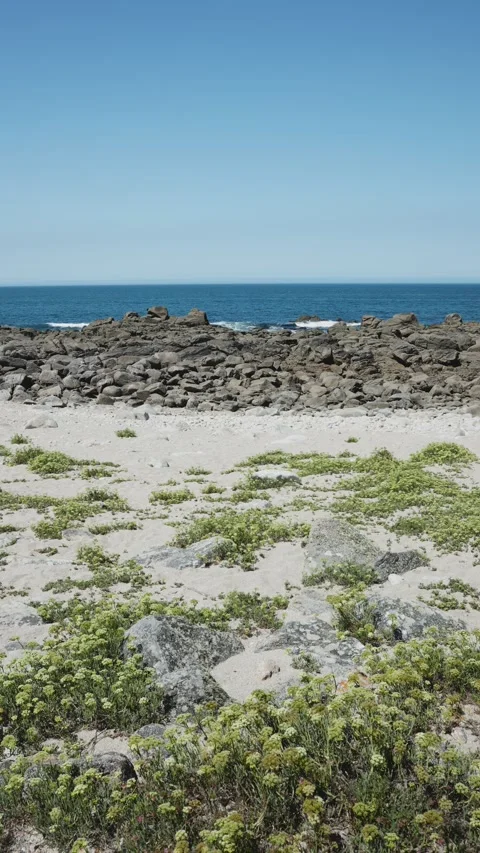 Vertical video background of a rocky beach of Galicia, Spain Видео 289966221