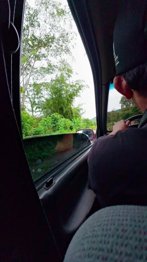 Vertical video of Backseat View of Driver Looking Out Car Window at Lush Gr.. Stock Footage 342190632