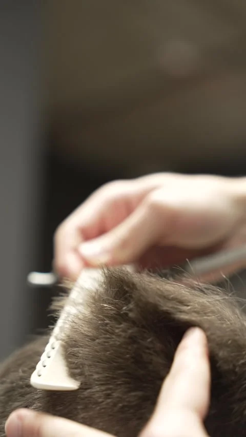 Vertical video: Barber shop unrecognizable male barber hands shaving clients Stock Footage 271584380