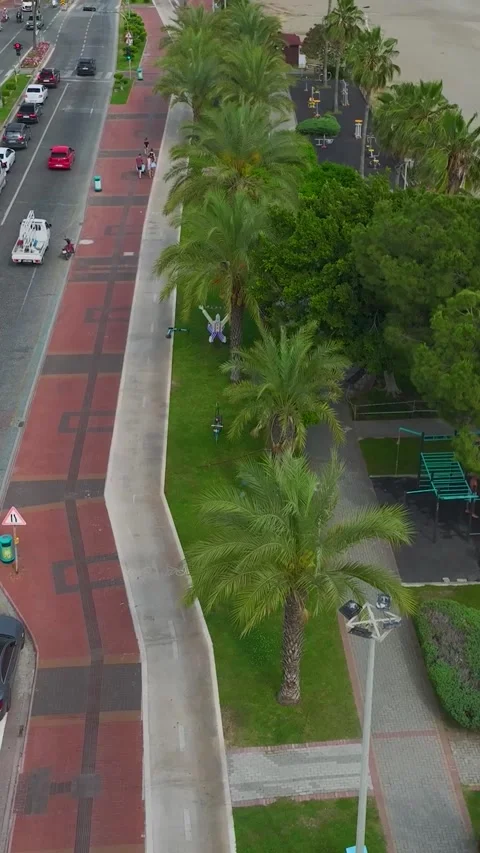 Vertical Video Beachfront Top View with Road and Palm Trees Stock Footage 342027256