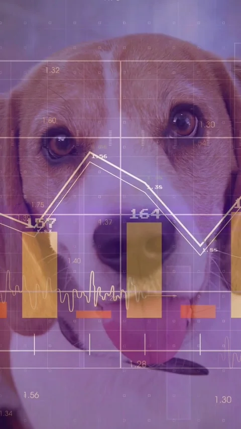 Vertical video: Beagle panting HUD animating over face grid bars data for health Stock Footage 334602712