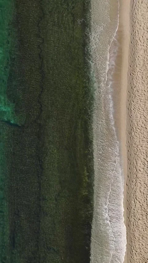 Vertical Video: Beautiful Beach With Bright Blue Water and Stunning Coastal Video stock 300329519