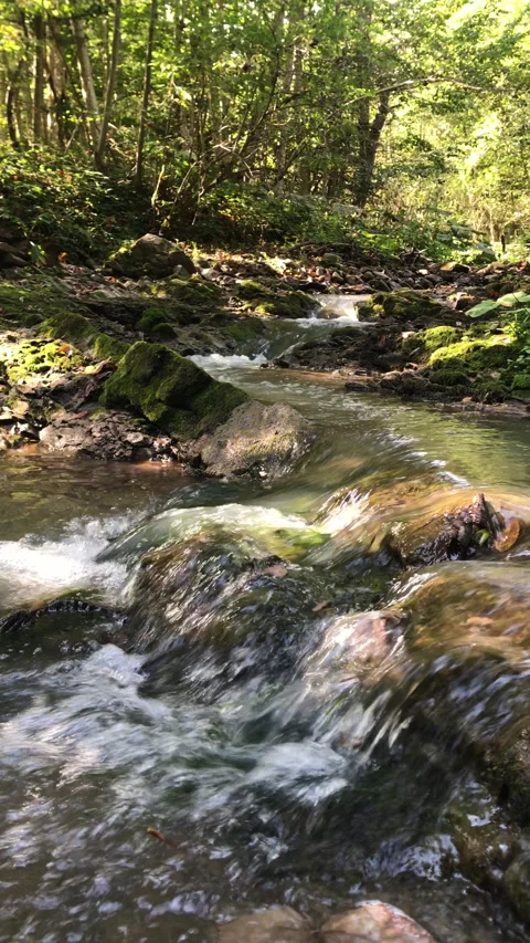 Vertical video of beautiful mountain river water with stone rapids and splashes Stock Footage 285317090