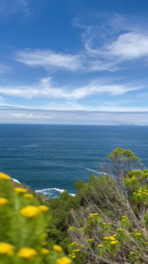 Vertical video of the beautiful ocean view with blooming yellow flowers Stock Footage 317880158