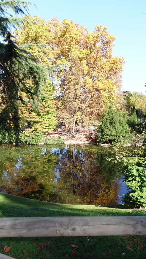 Vertical video of a beautiful pond reflecting fall colors 스톡 동영상 342494599