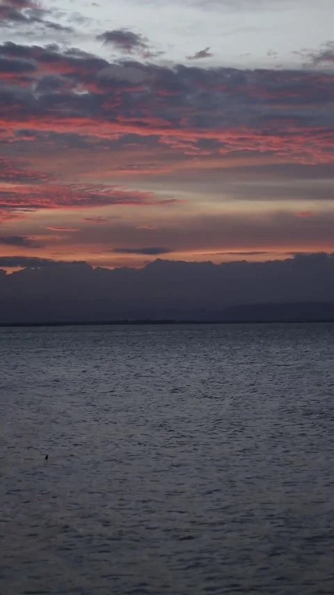 Vertical video of a Beautiful view of the sunset on a summer day. lake sunset Stock Footage 260365179