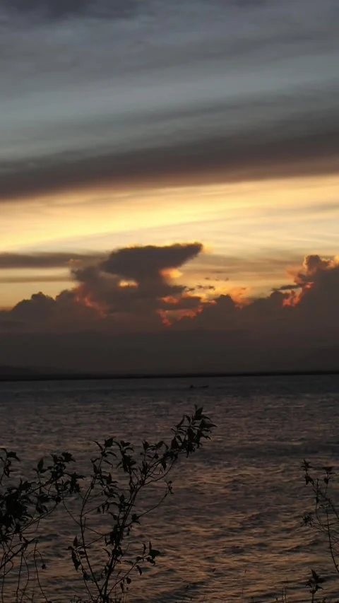 Vertical video of a Beautiful view of the sunset on a summer day. lake sunset Video stock 260365199