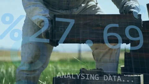 Vertical video: Beekeeper lifting hive box and checking frames, causing data Stock Footage 332772422
