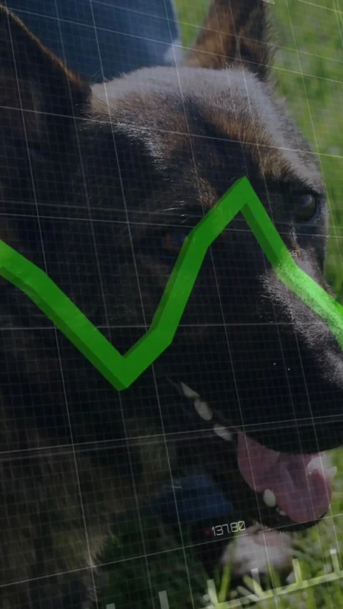 Vertical video: Big dog lying in grass, HUD data updating as green graph moving Stock Footage 334391172