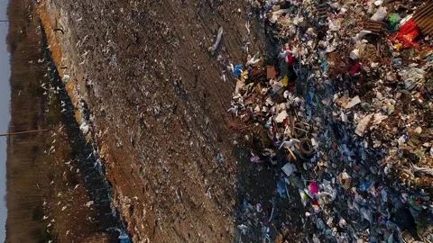 Vertical video. The birds fly over the heap of garbage. The landfill Video stock 260351082