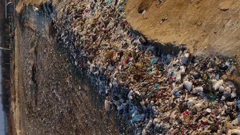 Vertical video. The birds fly over the heap of garbage. The landfill Video stock 265080183