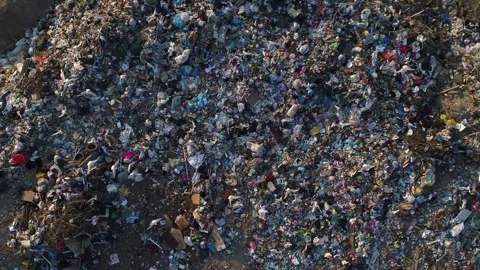 Vertical video. Birds sit on the garbage of the city landfill. Stock-Footage 260381038