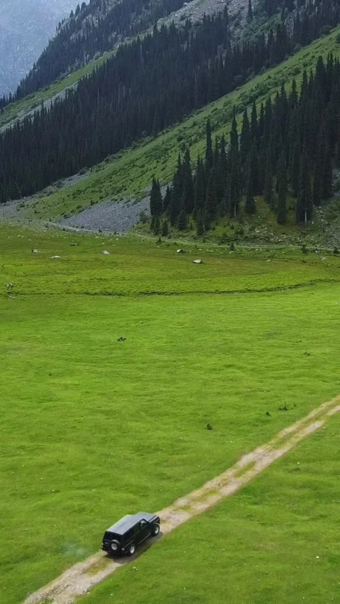 Vertical video: Black SUV Driving through Vast Green Mountain Valley Stock Footage 331991888