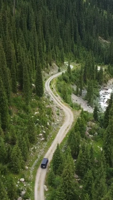 Vertical video: Black SUV Driving by Rushing Whitewater River and Forest Video stock 332221700