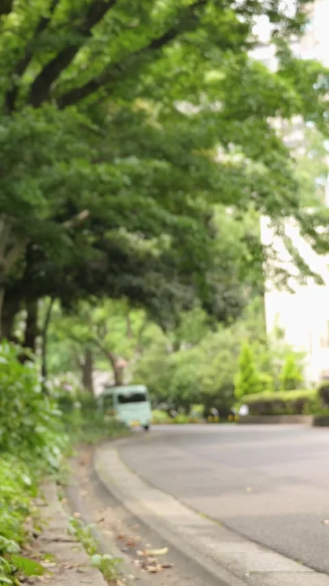 Vertical Video Blurred Car Passing Tree-Lined Urban Park Road Stock Footage 339271208