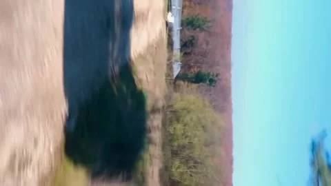 Vertical video of Blurred motion  forest landscape. Speed, movement, nature Stock-Footage 297118725
