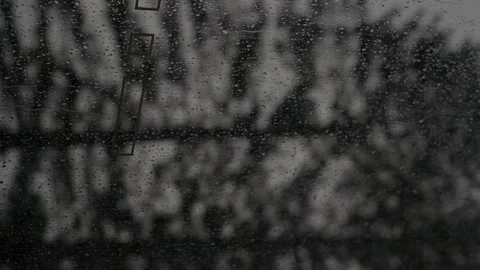 Vertical Video of a Blurred Tree and Window whit Raindrops Flowing Down on a  Stock Footage 194531870