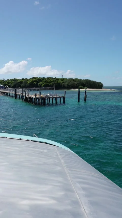 Vertical video of Boat approaching tropical island jetty in australia in the Stock Footage 330942279