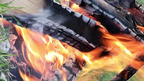 Vertical video. Bonfire close-up. Evening Stock Footage 103255064