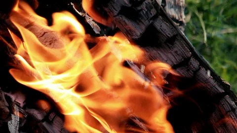 Vertical video. Bonfire close-up. Evening Video stock 103255378