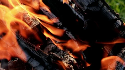 Vertical video. Bonfire close-up. Evening Stock Footage 103255591