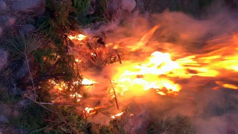 Vertical video. Bonfire close-up evening. Vídeos de archivo 115366858