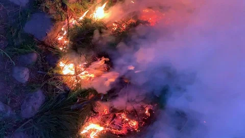 Vertical video. Bonfire close-up evening. Stock Footage 115367105