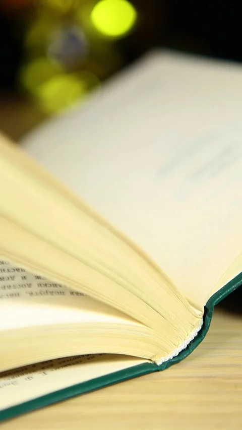 Vertical video of book page Stock Footage 240727818