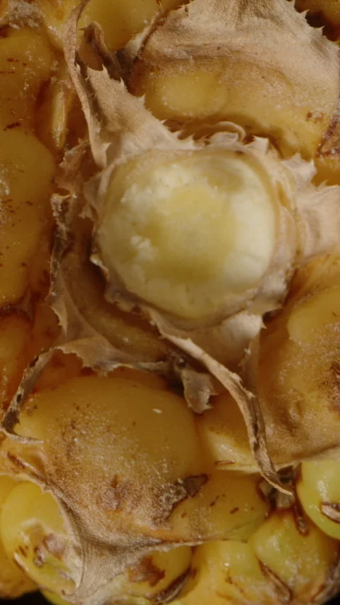 Vertical video. Bottom View of Small Pineapple Rotating and Falling in Macro Stock Footage 310670345