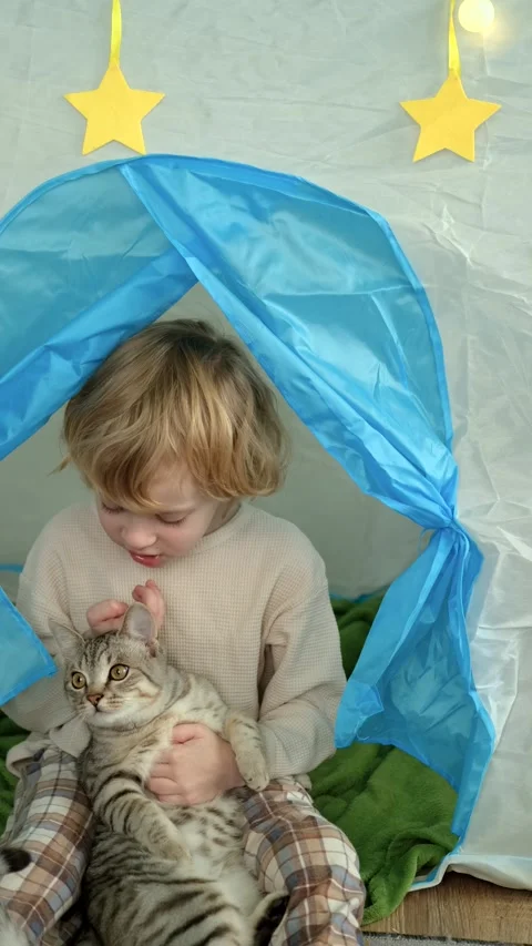 Vertical video, boy and cat sitting in play rag house Stock Footage 303074087