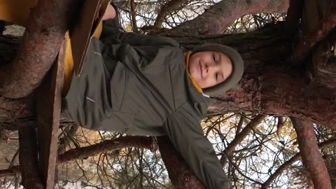 Vertical video the boy climbed and sits on a pine tree in the autumn forest Stock Footage 254705117