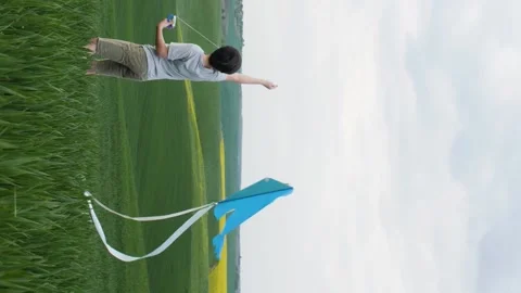 Vertical video. A boy in a field tries to launch a kite. Video stock 214468245