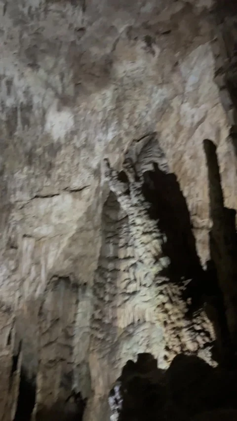 Vertical Video of Brazil Cave Interior Lit By Flashlight Stock Footage 223576592