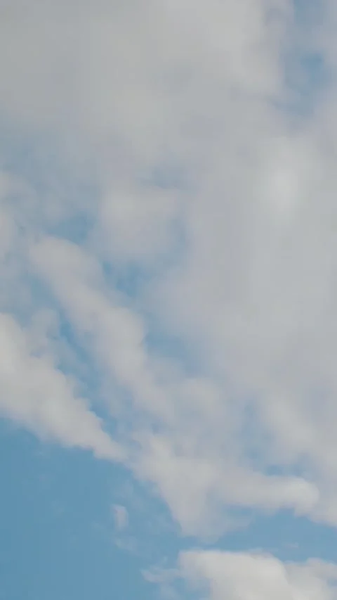 Vertical video. Breathtaking clouds and a bright sky filled with birds Stock Footage 308398606