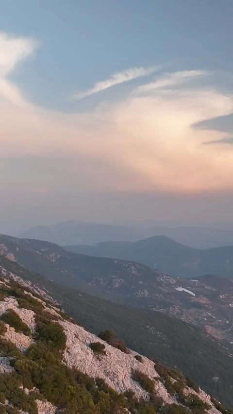 Vertical Video: Breathtaking Forest Exploration - Aerial View of Mysterious Video stock 244281934