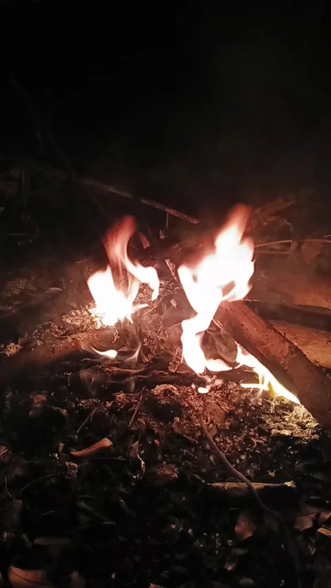 Vertical video of bright flames burning dry wood in a dark forest setting 库存影片 344751955