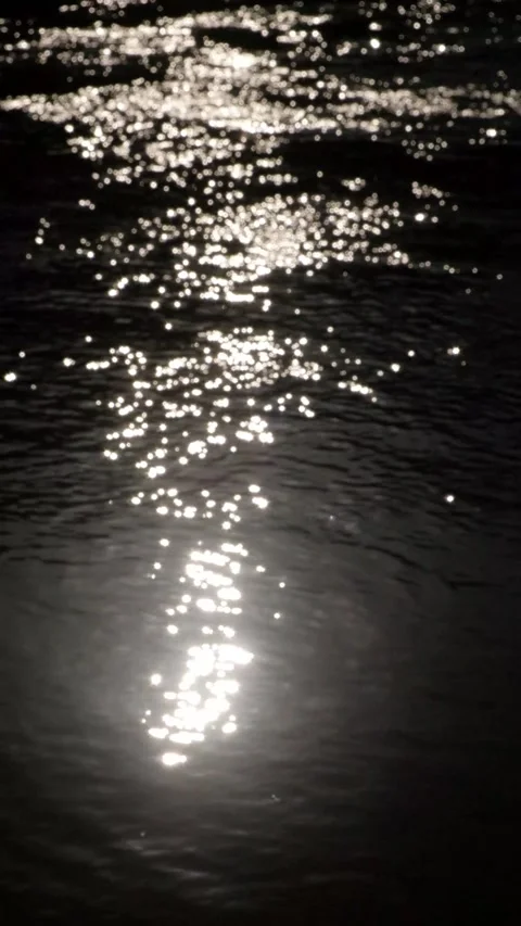 Vertical video of bright sunlight forms soft bokeh reflections across dark w Stock Footage 342955381