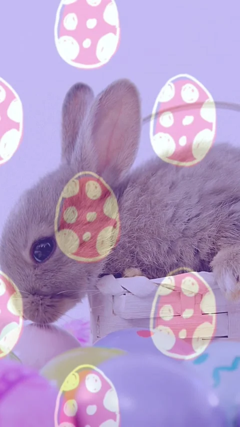 Vertical video: brown rabbit sensing pastel eggs, lifting head, leaning over Stock Footage 329756629