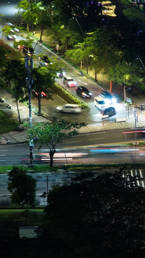 Vertical video - BSD Night Timelapse Stock Footage 329057210