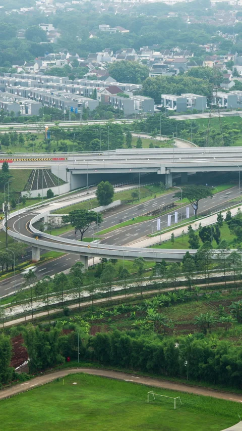 Vertical video - BSD Timelapse Stock Footage 329057691