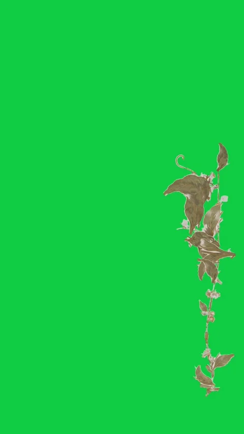 Vertical video: Bud appearing lower-right starting vine growing up on Stock Footage 348246330