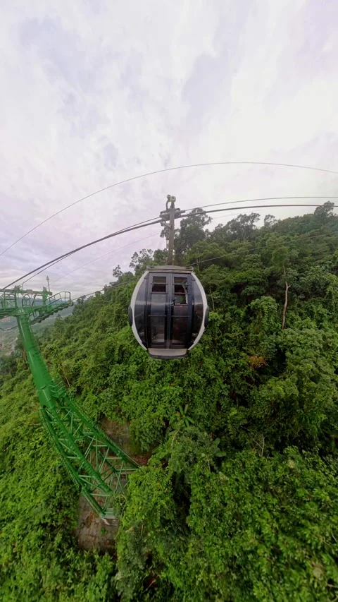 Vertical video. Cable Car Hovering Over Lush Tree Canopy Captured in Wide Angle Stock Footage 323461359