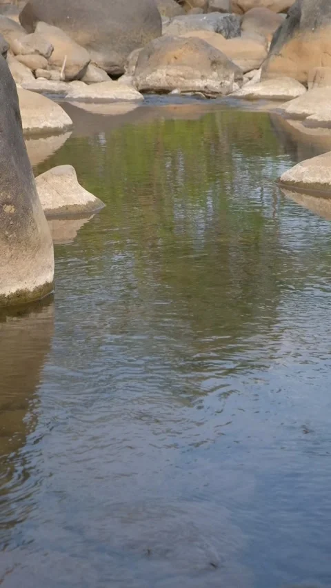 Vertical video of calm river water reflecting lush greenery framed by large 库存影片 342957817