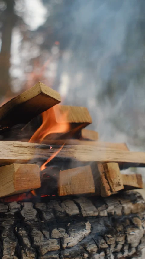 Vertical video of calm vivid fire flame over wooden logs at winter time Stock Footage 297943279