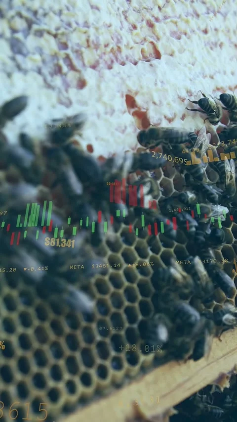 Vertical video: Cam sharpening and panning revealing honeycomb bees crawling Stock Footage 334025287