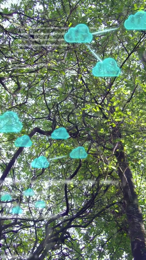 Vertical video: Cam tilting up starting teal cloud icons growing over canopy Stock Footage 337540870