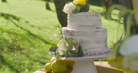 Vertical video: Camera panning right, framing frosted cake on table outdoors Stock Footage 337625302