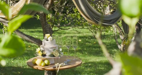 Vertical video: Camera pulling back wind moving leaves showing cake, flutes on Stock Footage 343241662