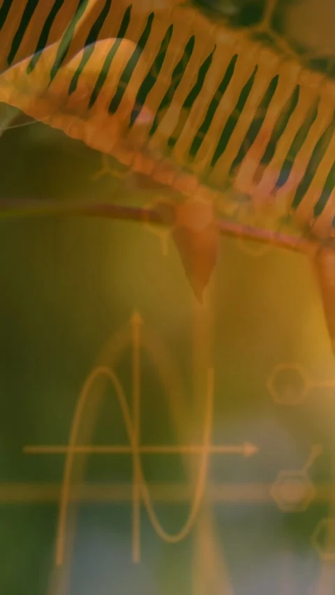 Vertical video: Camera revealing frond, twig sliding, sine-wave and hexagon Stockbeeldmateriaal 330965014